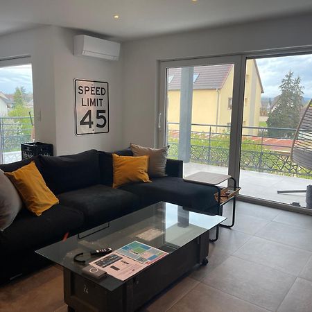 Colmar Appartement Terrasse 10Min Centre Ville Widensolen ภายนอก รูปภาพ